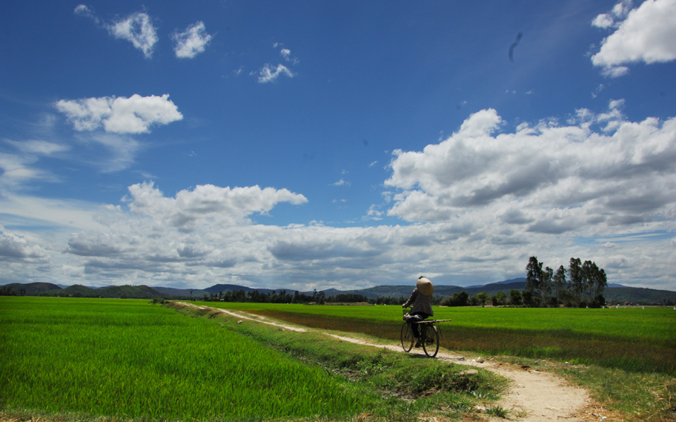 Small paths like this could be found in any fields in Tuy Hoa City.