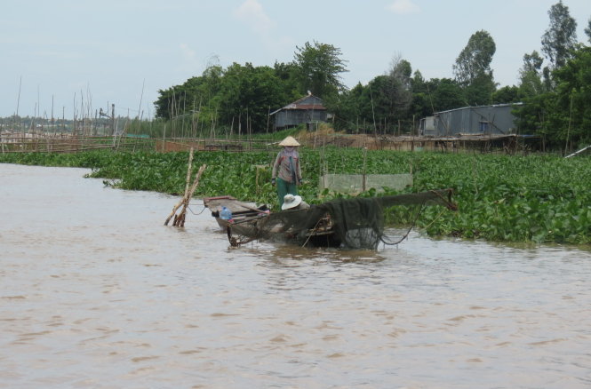 No flood without money for farmers in southern Vietnam