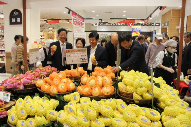 Vietnamese mango promoted in Japan