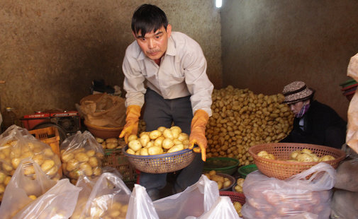 Vietnam’s Da Lat lifts ban on Chinese potato imports after ten days