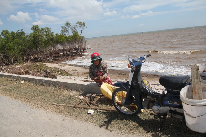 300,000 Vietnamese coastal residents seriously threatened by forest loss-triggered erosion