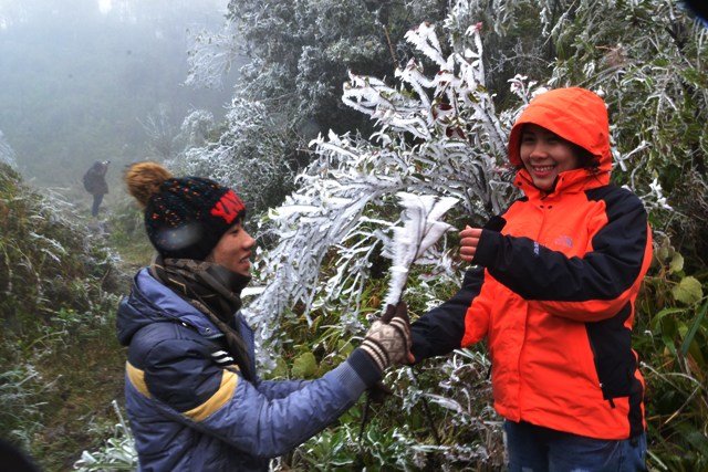 It snows in sultry Vietnam