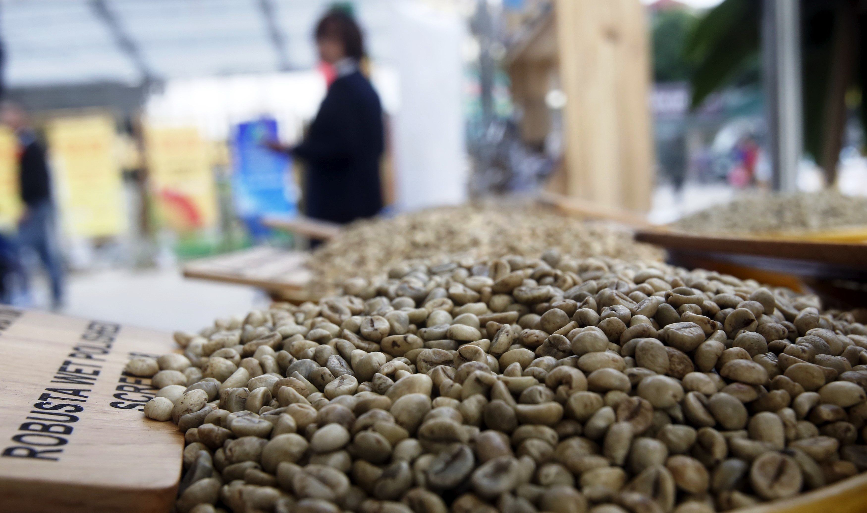 Softer loans won't quicken Vietnam coffee replanting