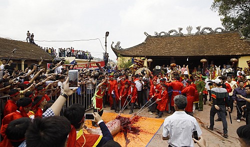 Cruel festivals, including pig slaughter rite, must be eliminated in 2016: Vietnam officials