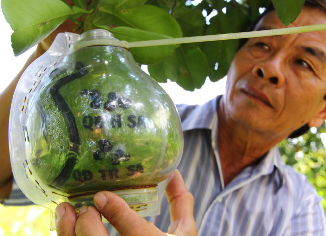 Farmer makes 400 grapefruits featuring Vietnam’s sovereignty over islands