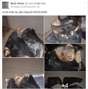 Dog remains found at house of Vietnamese man selling ‘wildlife’ products