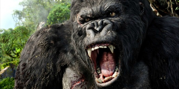 Filming of King Kong movie in Vietnam to start Feb 18: source