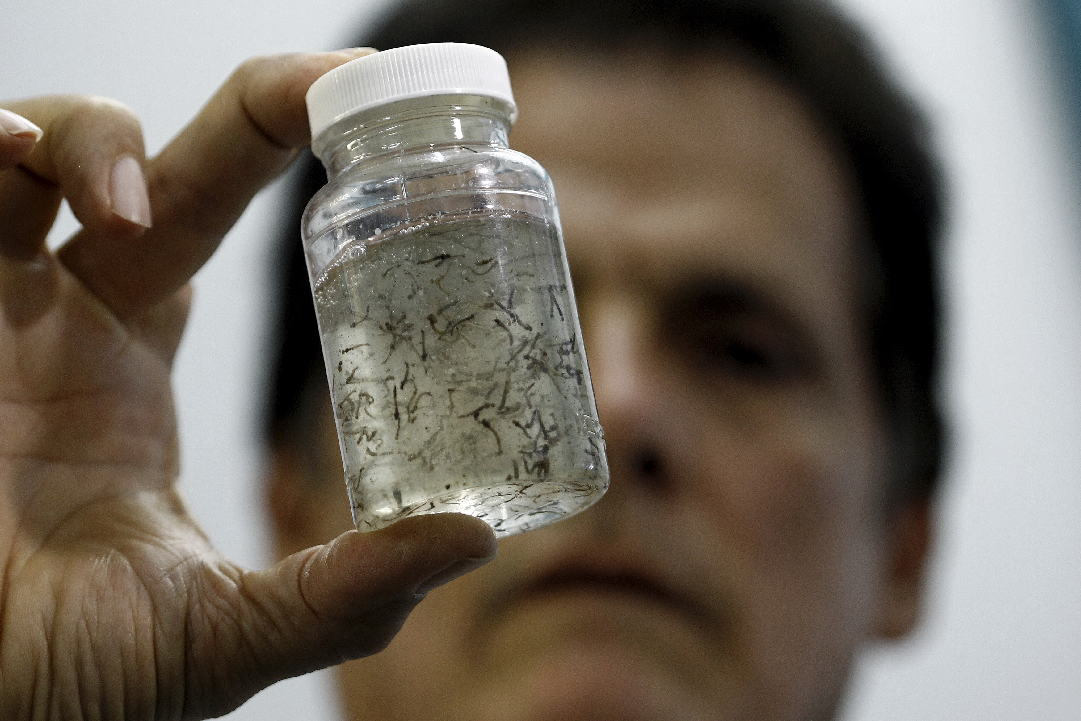 WHO says extremely alarmed by Zika, could reach 4 million cases