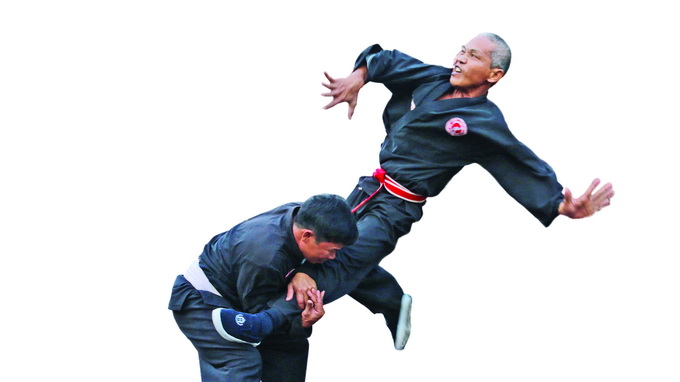 Meet the Vietnamese ‘encyclopedia’ of martial arts who favors Monkey Kung Fu