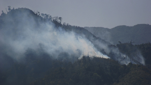Hundreds attempt to put out fire in national park in northern Vietnam