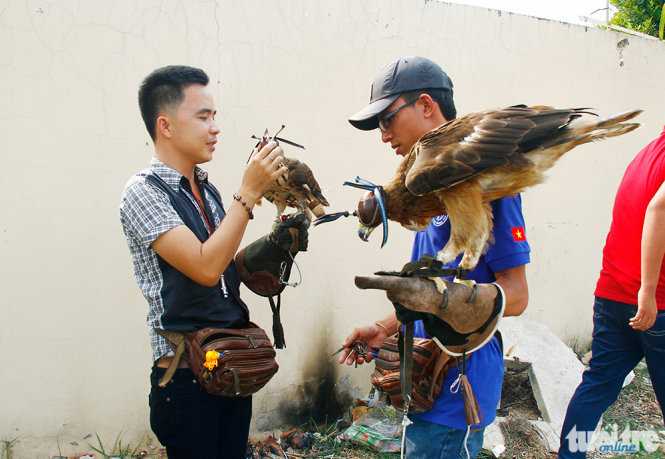 Vietnamese animal enthusiasts develop new crush on falconry (photos)