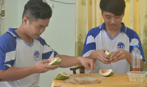 Vietnamese 11th grader removes kidney stones with grapefruit seed medicinal tea