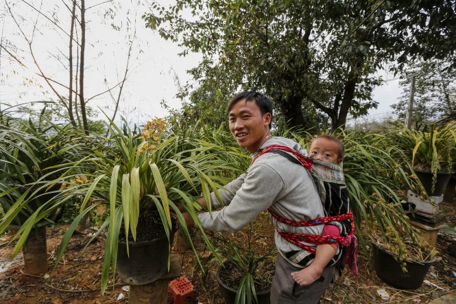 Northern Vietnam village the Eden of ground orchids