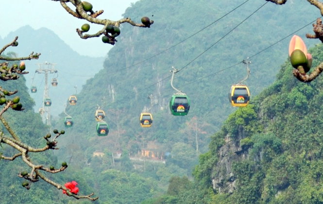 Visitors can sit in the cable car and watch the red flowers pass underneath.