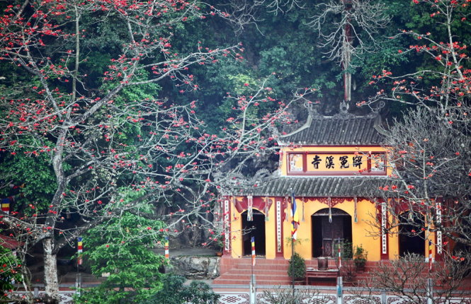 Two ancient red cotton trees bloom in front of the gate of the complex’s Giai Oan pagoda.