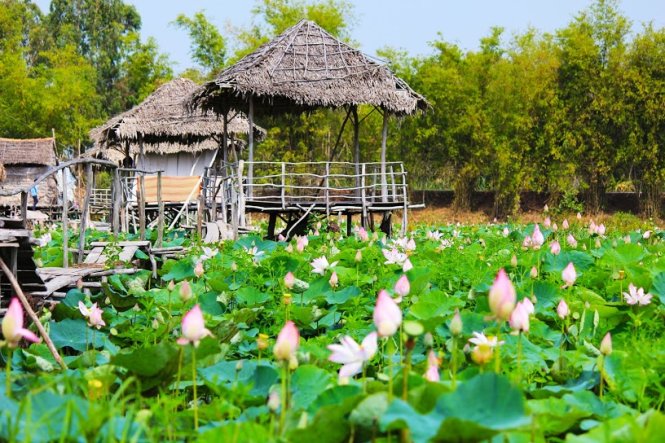 A hut for visitors to take rest at the Thap Muoi lotus field.
