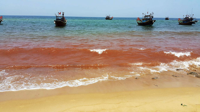 Sea turns red in Vietnamese province where fish died en masse