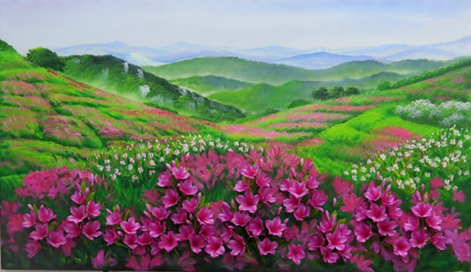 A valley of azaleas in South Korea