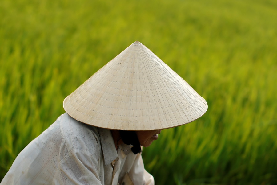 Vietnam's iconic non la hats