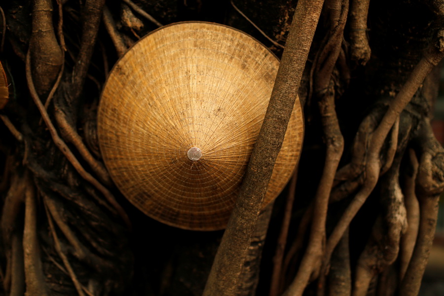 A Vietnamese traditional hat, known as a non la, is seen in a tree in Hoi An, Vietnam April 5, 2016.