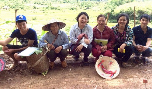 Japanese woman spends 19 years helping Vietnamese farmers