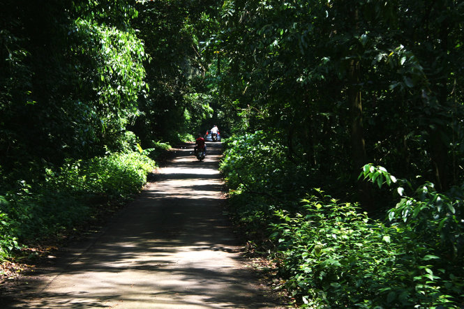 The road leading into the park