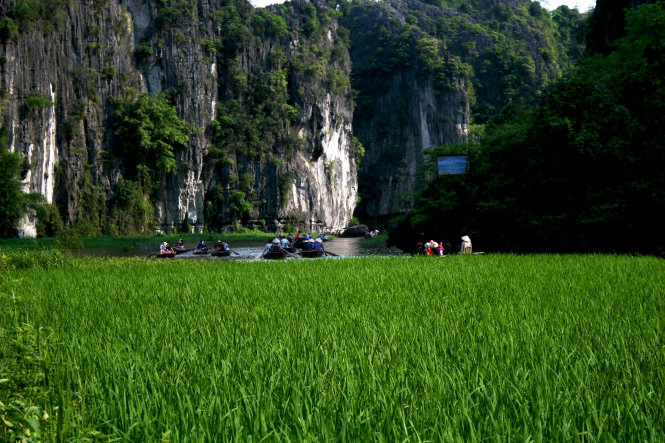 The Ngo Dong River hugs the green fields.