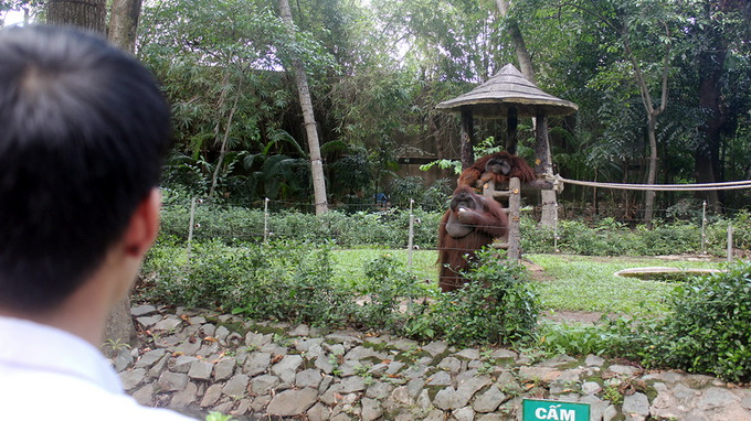 One of Vietnam’s oldest zoos to exchange animals with local counterparts
