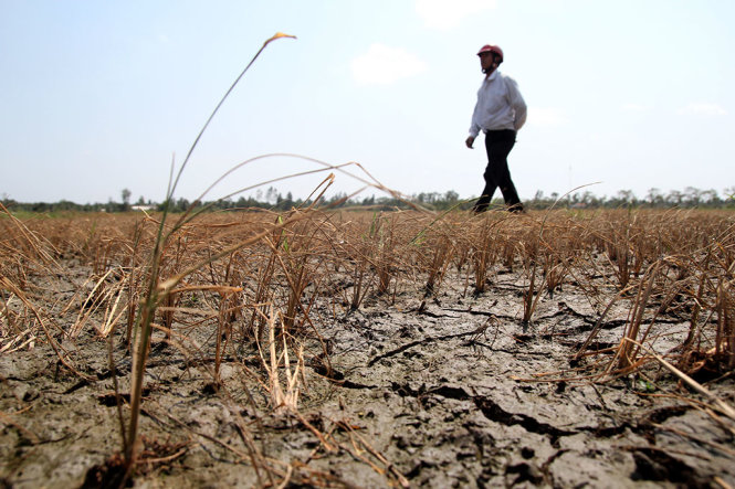 Vietnam drought leaves one million in urgent need of food aid: EU
