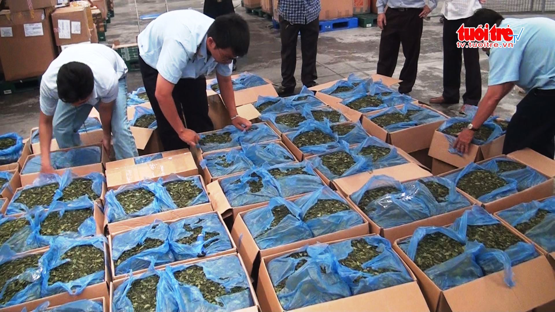 Khat smuggling – an alarming problem in Vietnam