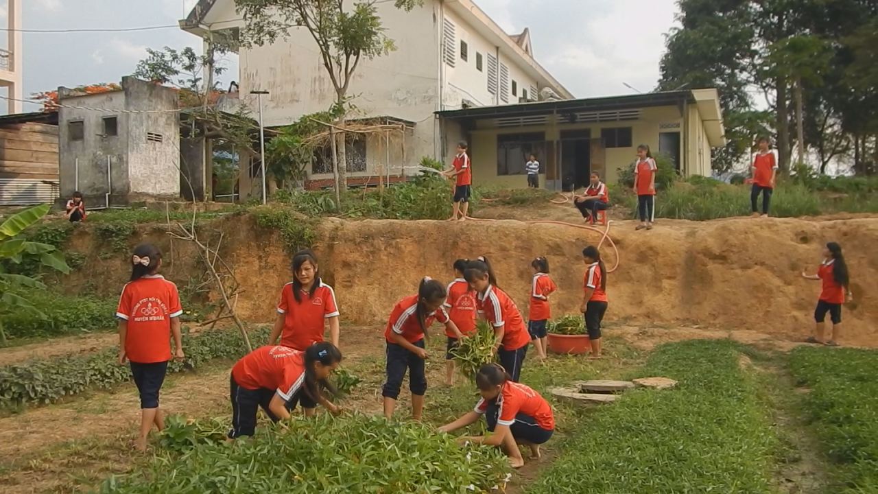 Organic vegetables garden of high school students in Vietnam