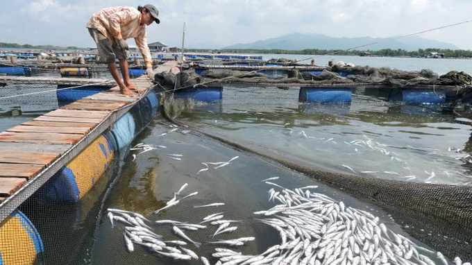 Vietnam PM requests effective use of Formosa compensation for fish deaths