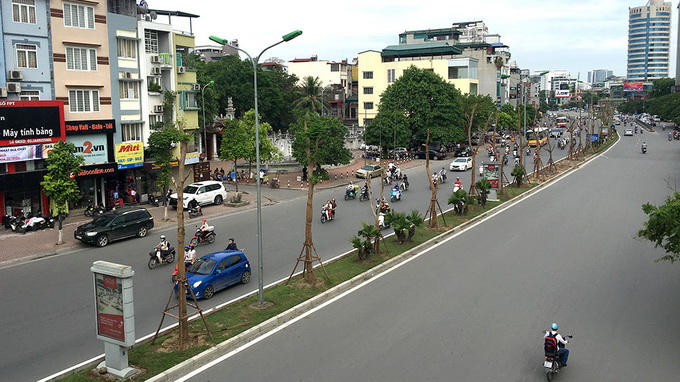 Hanoi to feature flamboyant trees on streets