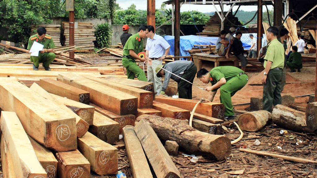 Ring leader in illegal logging trade wanted by Vietnamese police