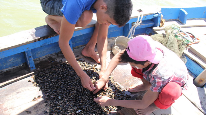 Clam hunting in central Vietnam