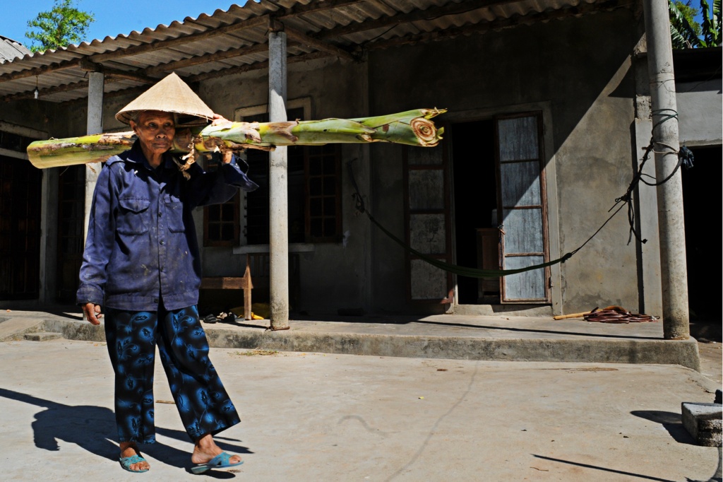 The elderly woman carries a banana tree, which will later be used to feed her chickens.