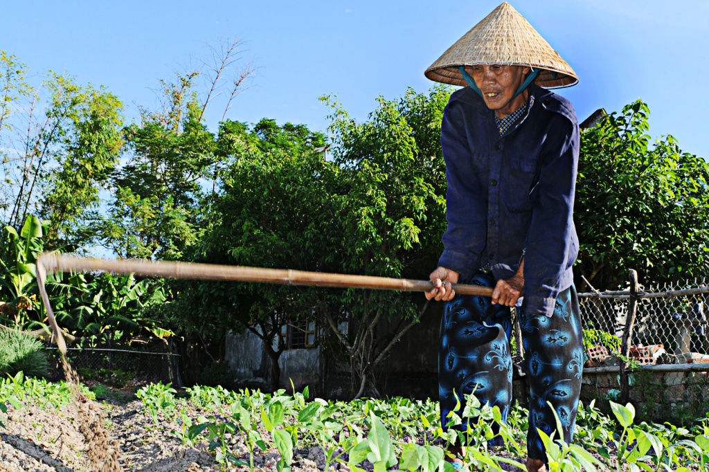 She also clean grasses and grows beans for the locals with a daily income of VND100,000 ($4.47).