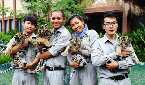 Phu Quoc Island’s Safari Zoo welcomes more species