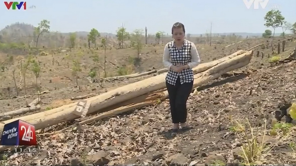 Vietnam Television accused of fabricating deforestation reportage