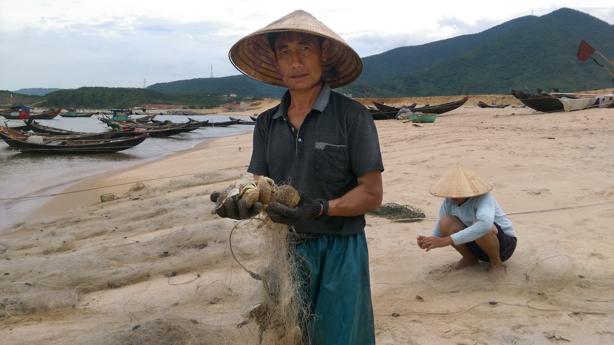 Question over central Vietnam’s seafood to be answered next week