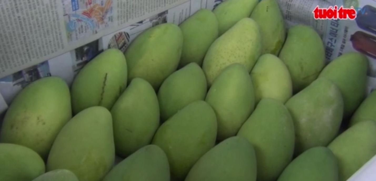 US to open doors to Vietnamese mangoes