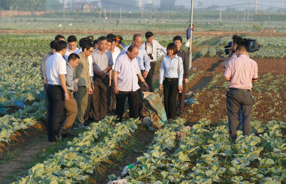 Vietnam premier inspects food safety at Hanoi market, veggie farm