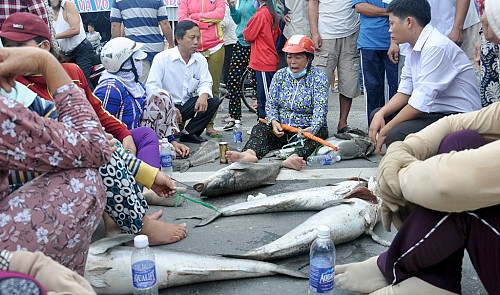 Repeated fish deaths infuriate farmers in southern Vietnam