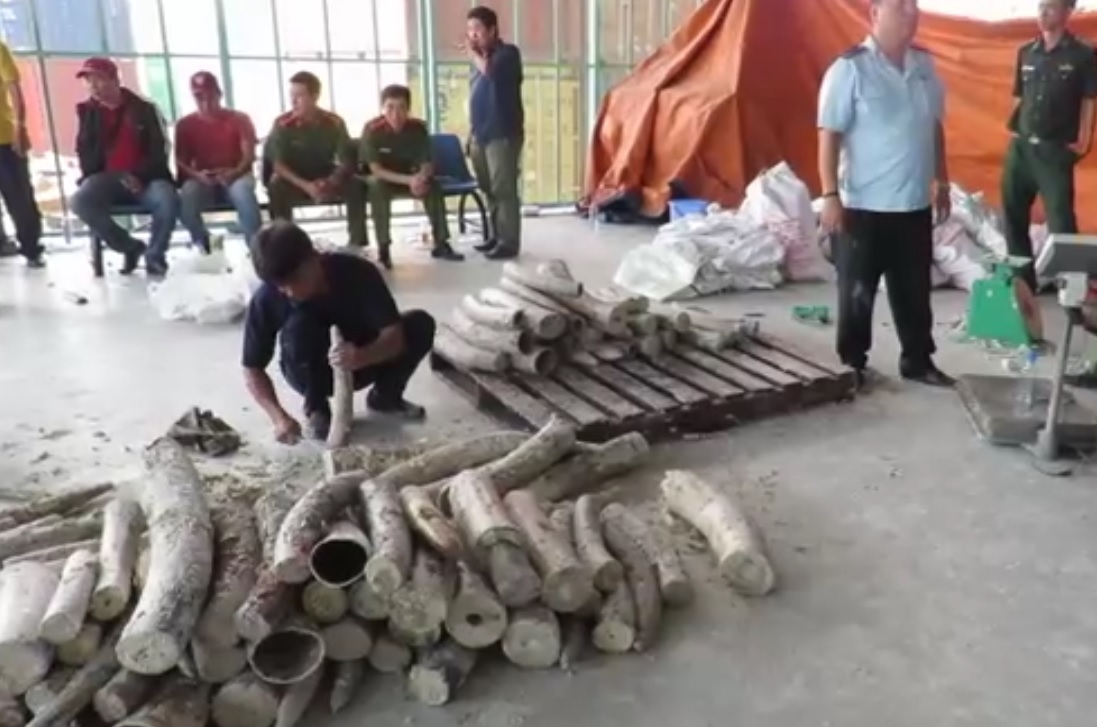 Vietnam seizes third illegal ivory shipment this month