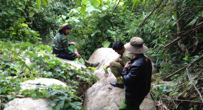 Vietnam man found alive after one week lost in forest