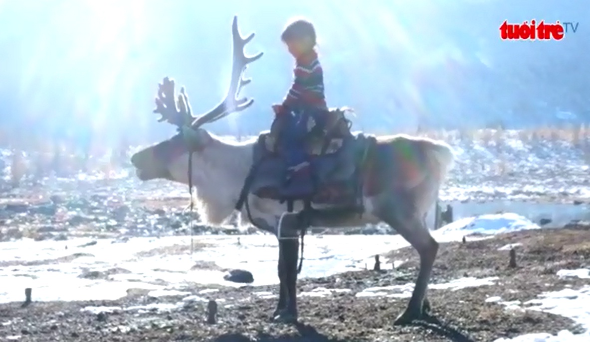 Tssatan Nomads – the last reindeer herders of Mongolia
