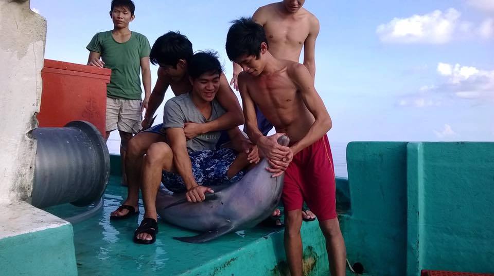 Facebook photos show Vietnam fishermen slaughtering dolphins