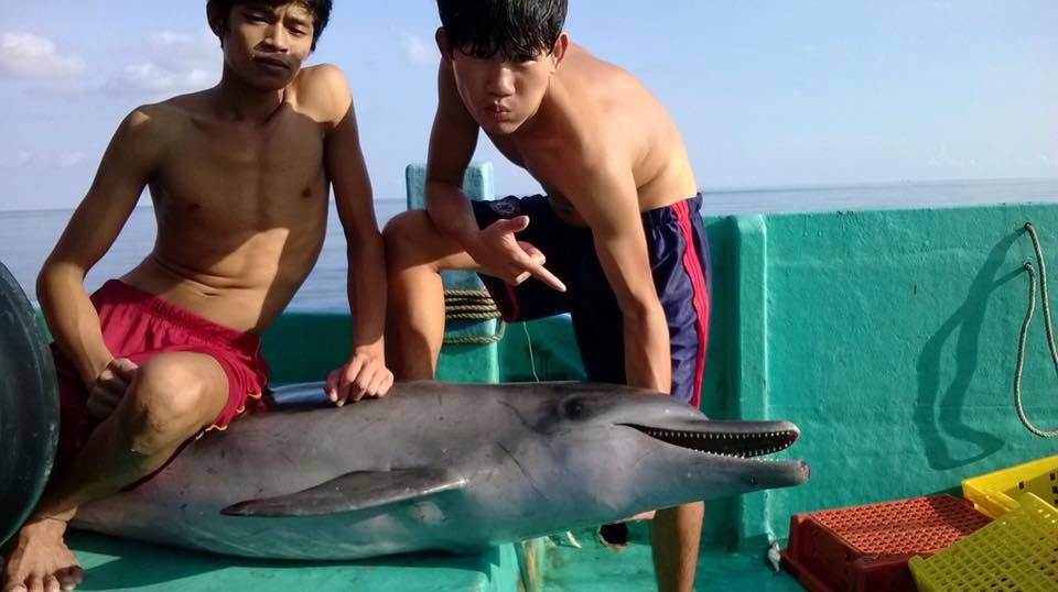 Vietnam police find dolphin-slaughtering fishermen