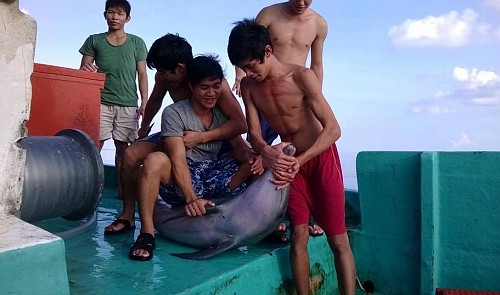 Facebook photos show Vietnam fishermen slaughtering dolphins