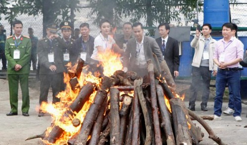 Vietnam destroys mass rhino horns and elephant ivory